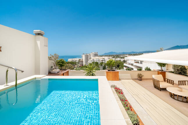 Spacious Duplex Penthouse in Don Gonzalo with Private Plunge Pool