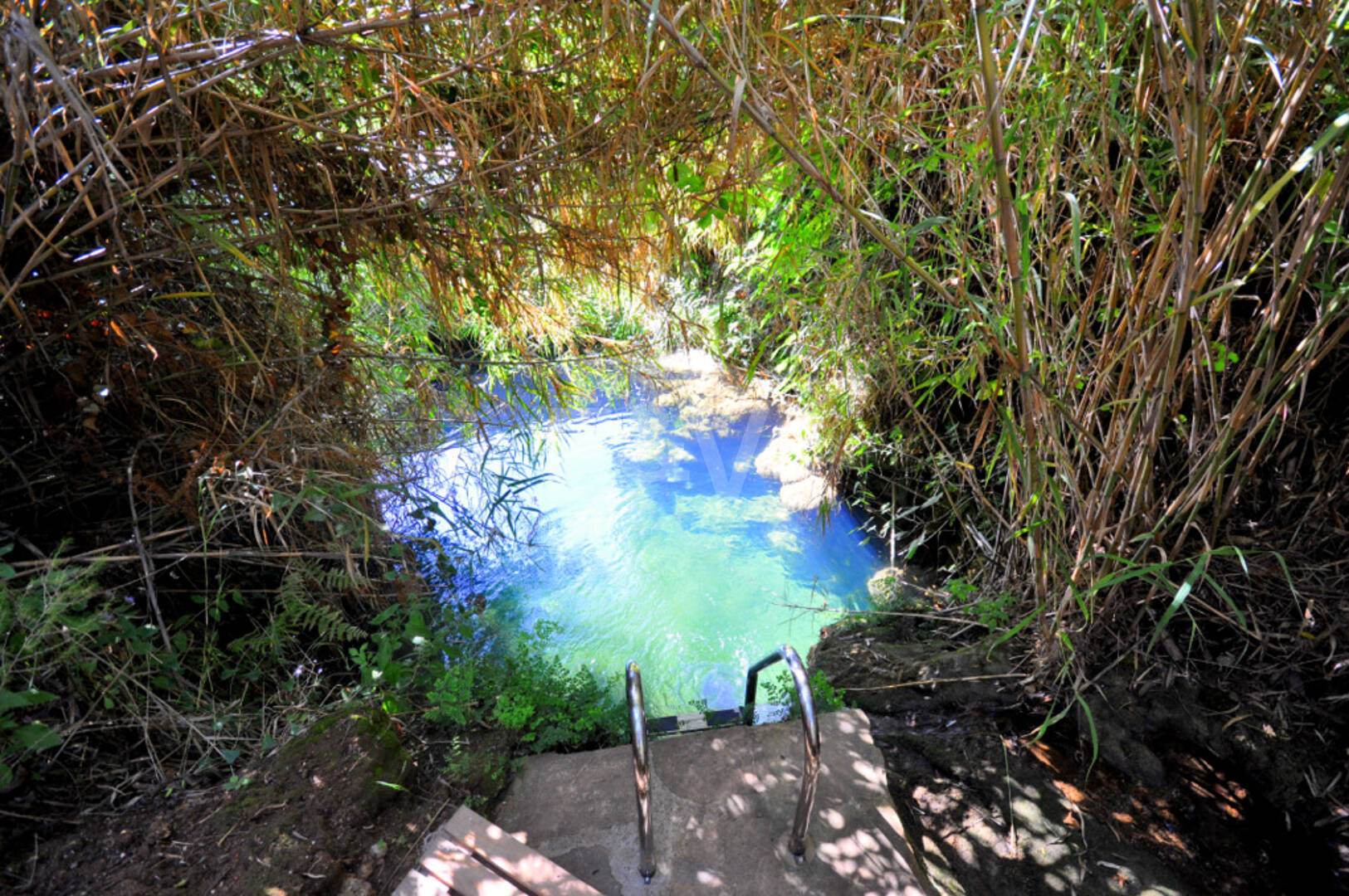 Grand Palatial Estate with Panoramic Sea Views Close to Sierra Blanca, Marbella Golden Mile