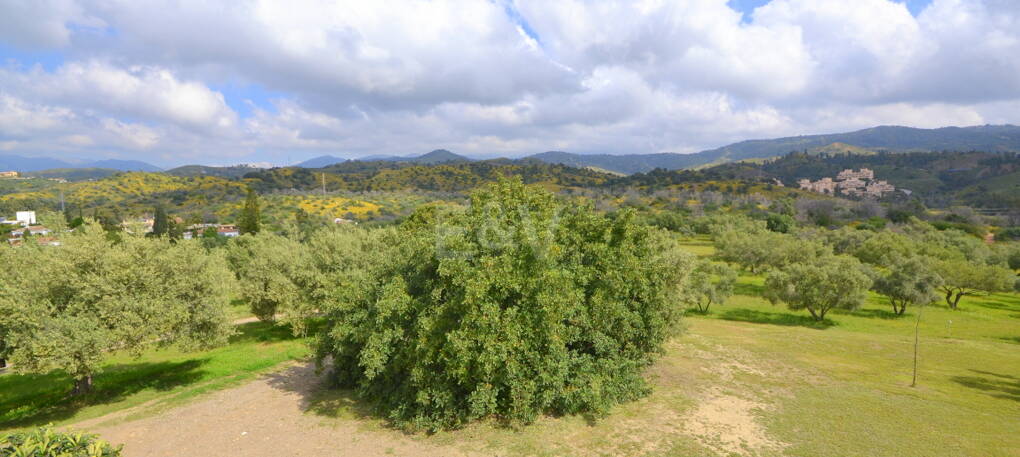 Villa with Large Plot in El Rosario