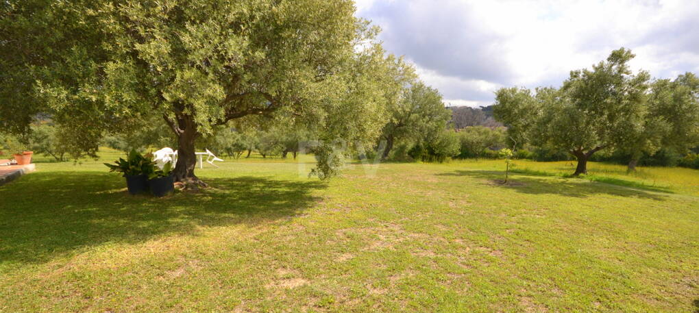 Villa with Large Plot in El Rosario
