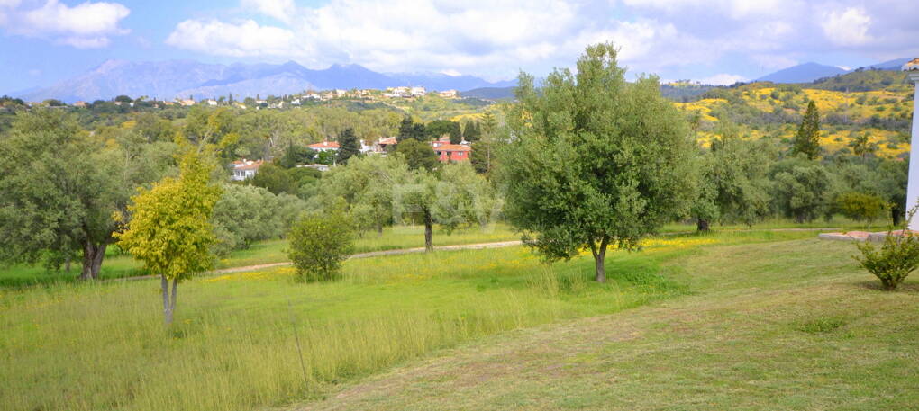 Villa with Large Plot in El Rosario