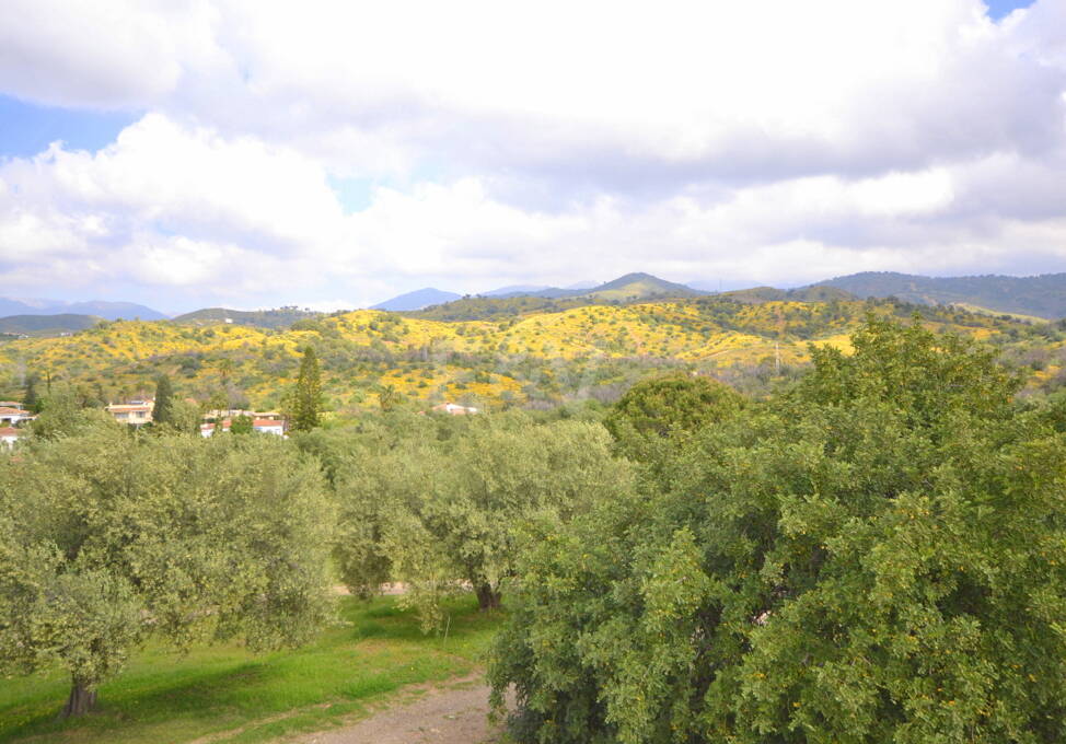 Urocze country- stylu Villa z dużym wyrzutkiem i Olive Grove