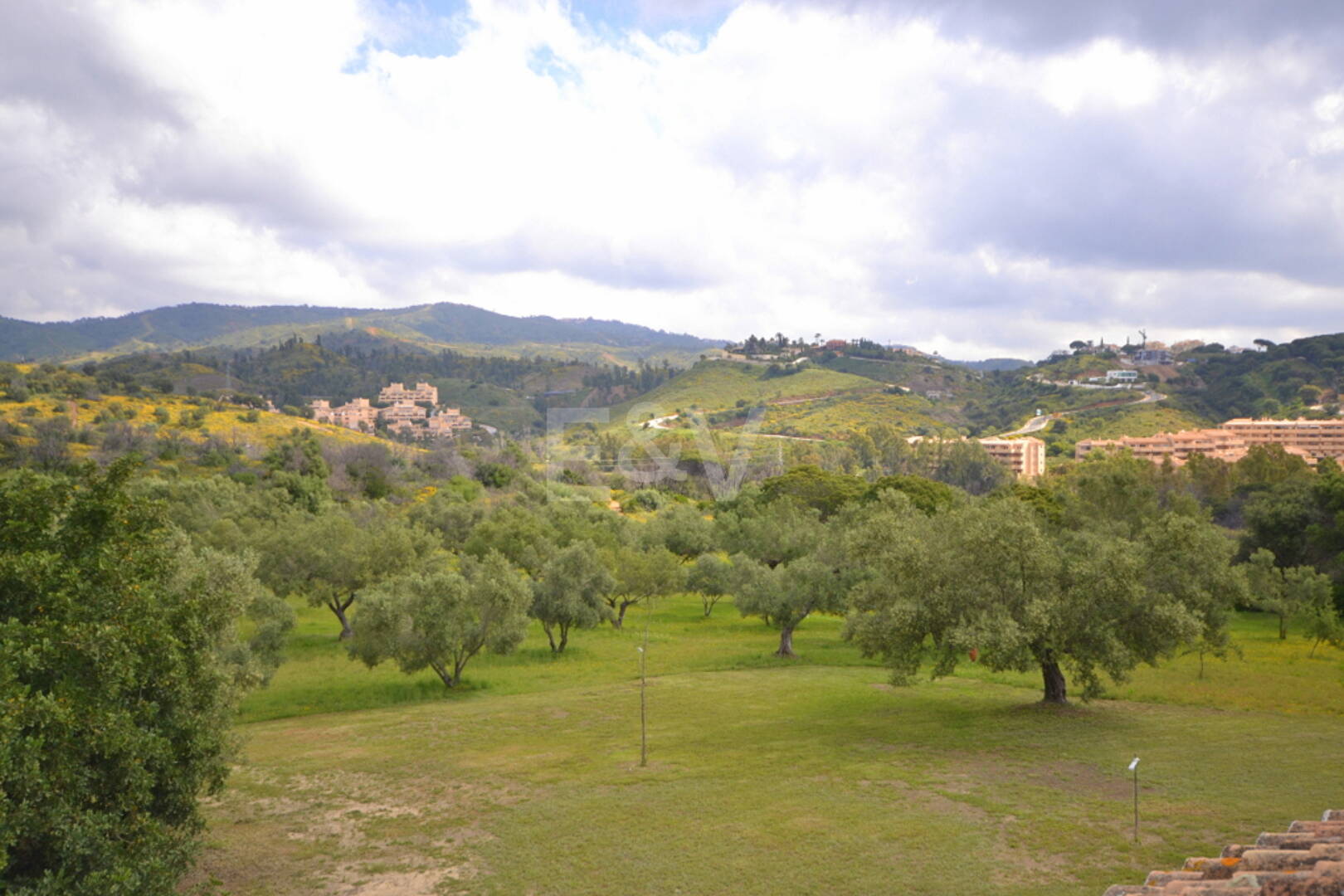 Charmante Landhausvilla mit großem Grundstück und Olivenhain