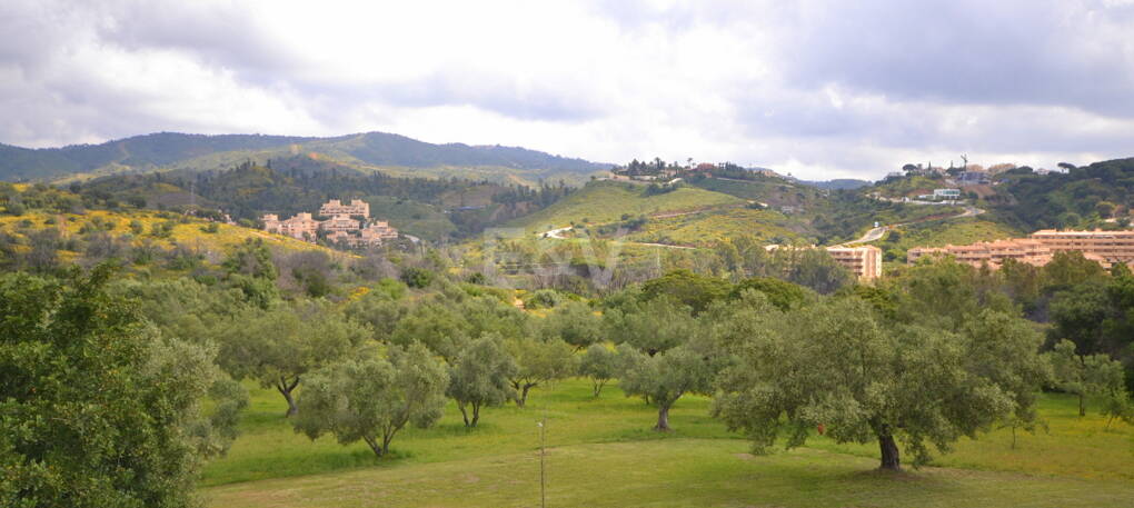 Villa with Large Plot in El Rosario