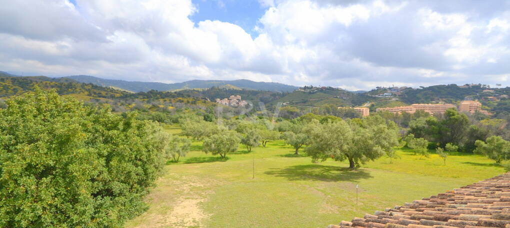 Villa with Large Plot in El Rosario