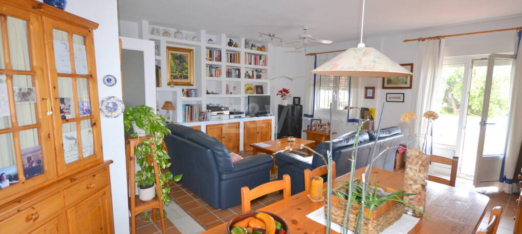 Villa with Large Plot in El Rosario