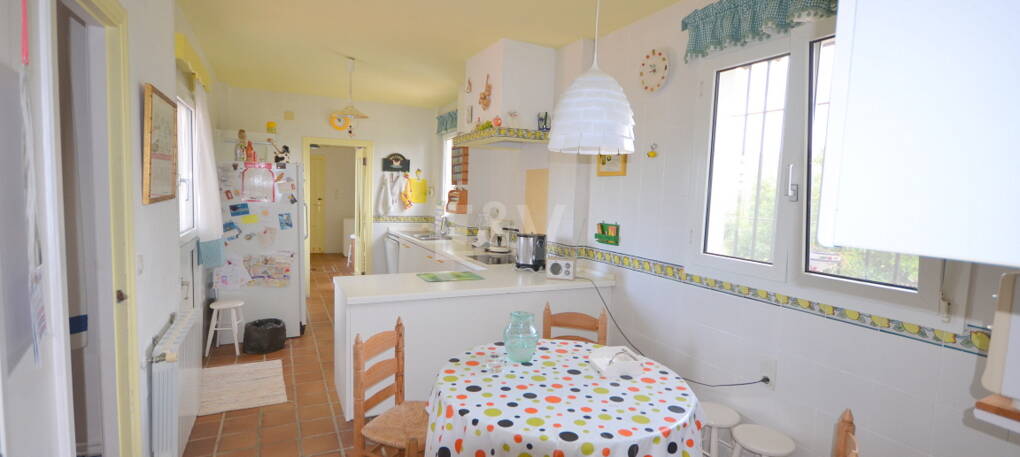Villa with Large Plot in El Rosario