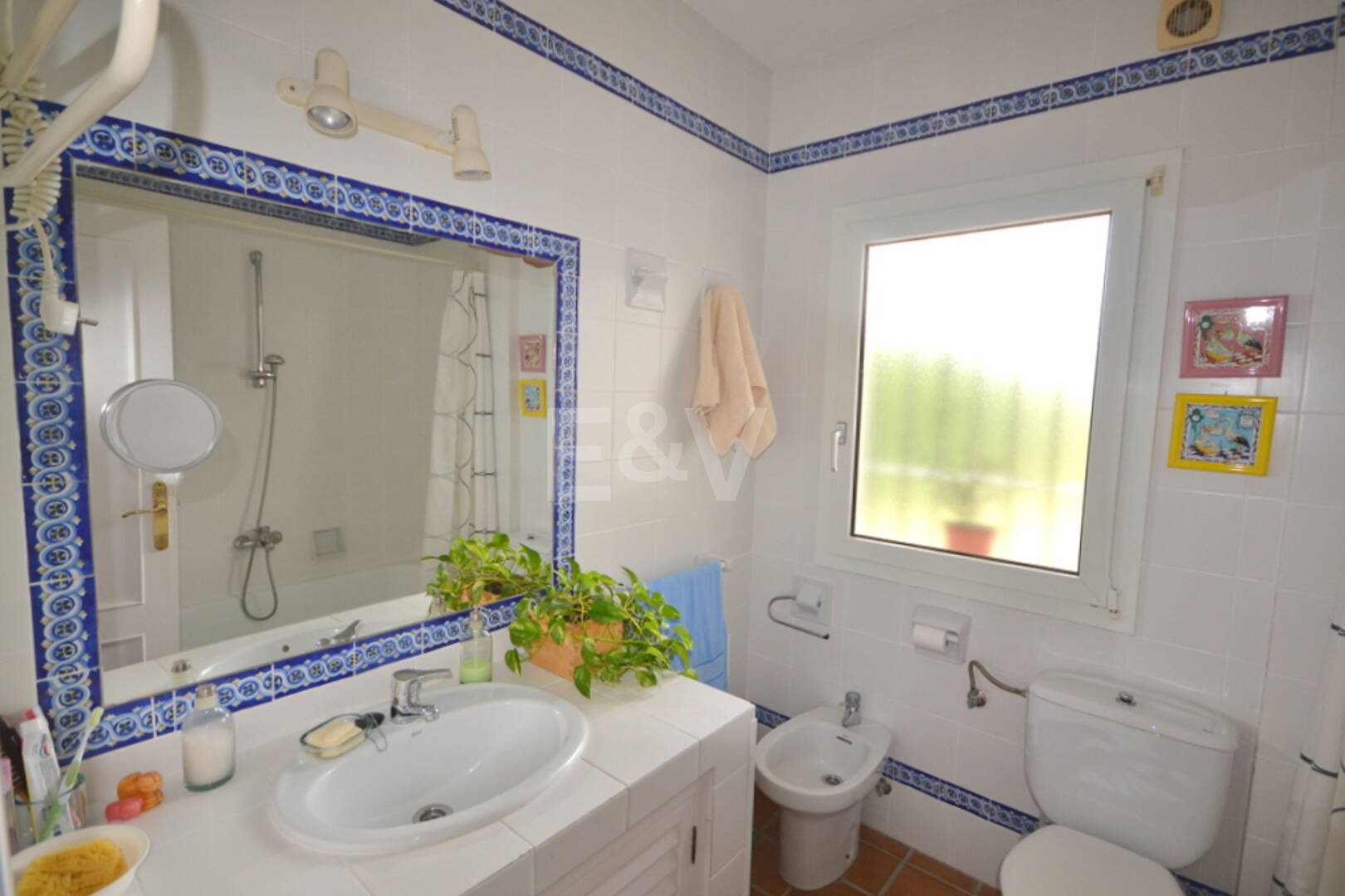 Charmante Landhausvilla mit großem Grundstück und Olivenhain