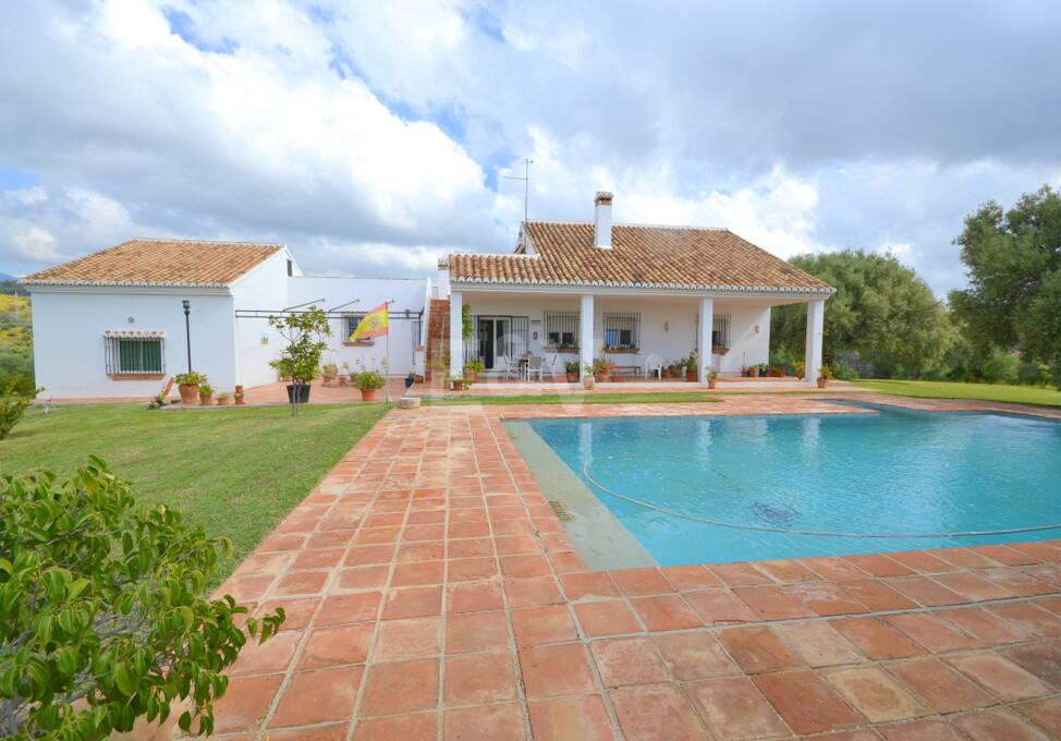 Urocze country- stylu Villa z dużym wyrzutkiem i Olive Grove