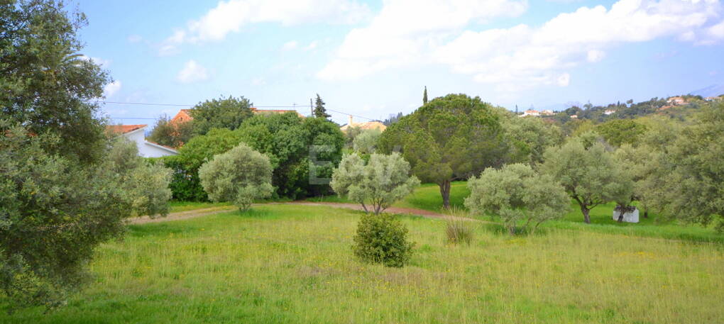 Villa with Large Plot in El Rosario