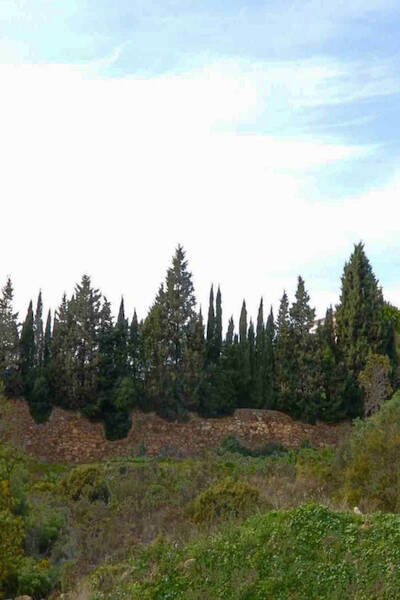 Property Contact Image