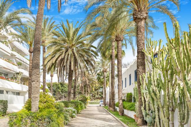 Atemberaubende Strandvilla in der besten Lage von Oasis Club