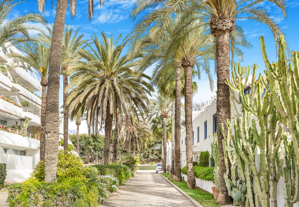 Atemberaubende Strandvilla in der besten Lage von Oasis Club