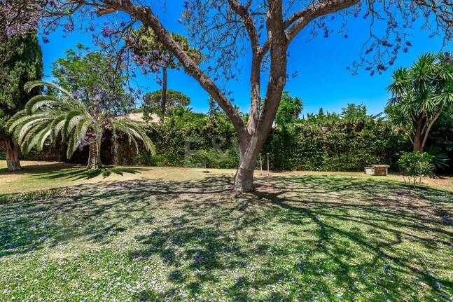 Investment Opportunity 200m from the Beach, Large Plot with Villa in Reserva de los Monteros