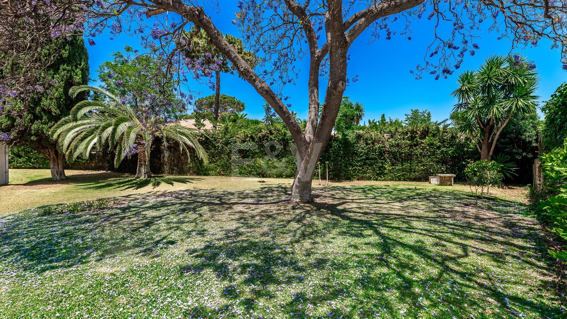 Investment Opportunity 200m from the Beach, Large Plot with Villa in Reserva de los Monteros