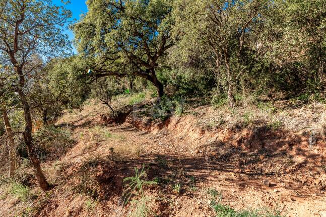 Großzügiges Grundstück in Los Monteros Altos mit Panoramablick