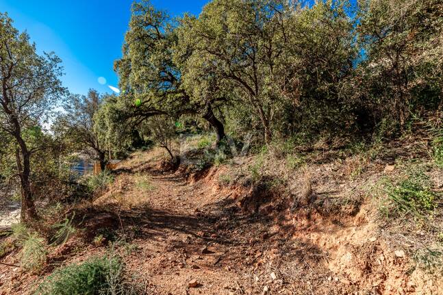 Großzügiges Grundstück in Los Monteros Altos mit Panoramablick