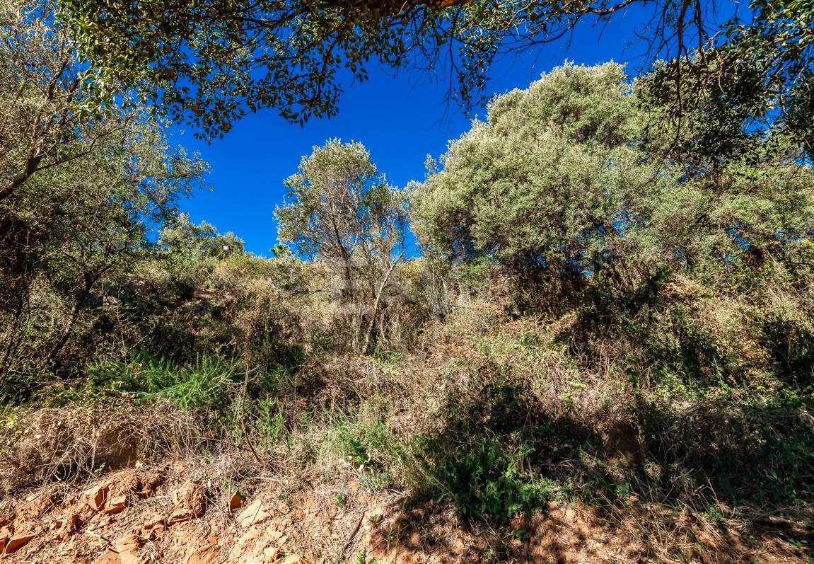 Großzügiges Grundstück in Los Monteros Altos mit Panoramablick