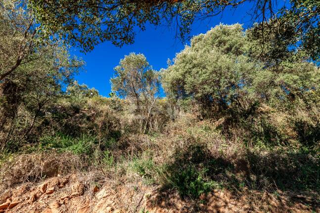 Großzügiges Grundstück in Los Monteros Altos mit Panoramablick