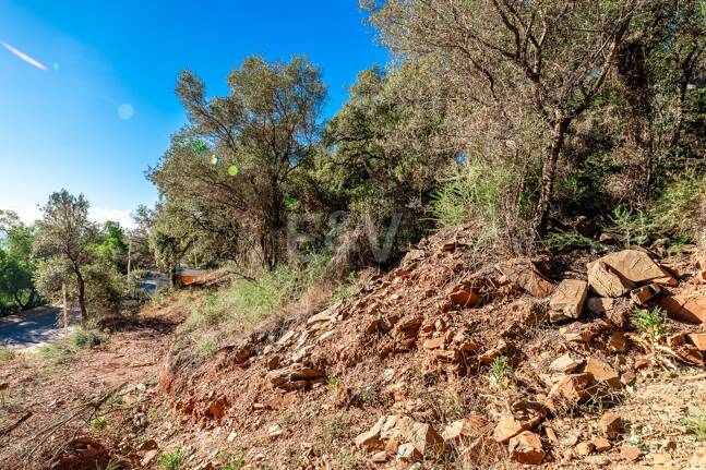 Spacious Plot in Los Monteros Altos with Panoramic Views