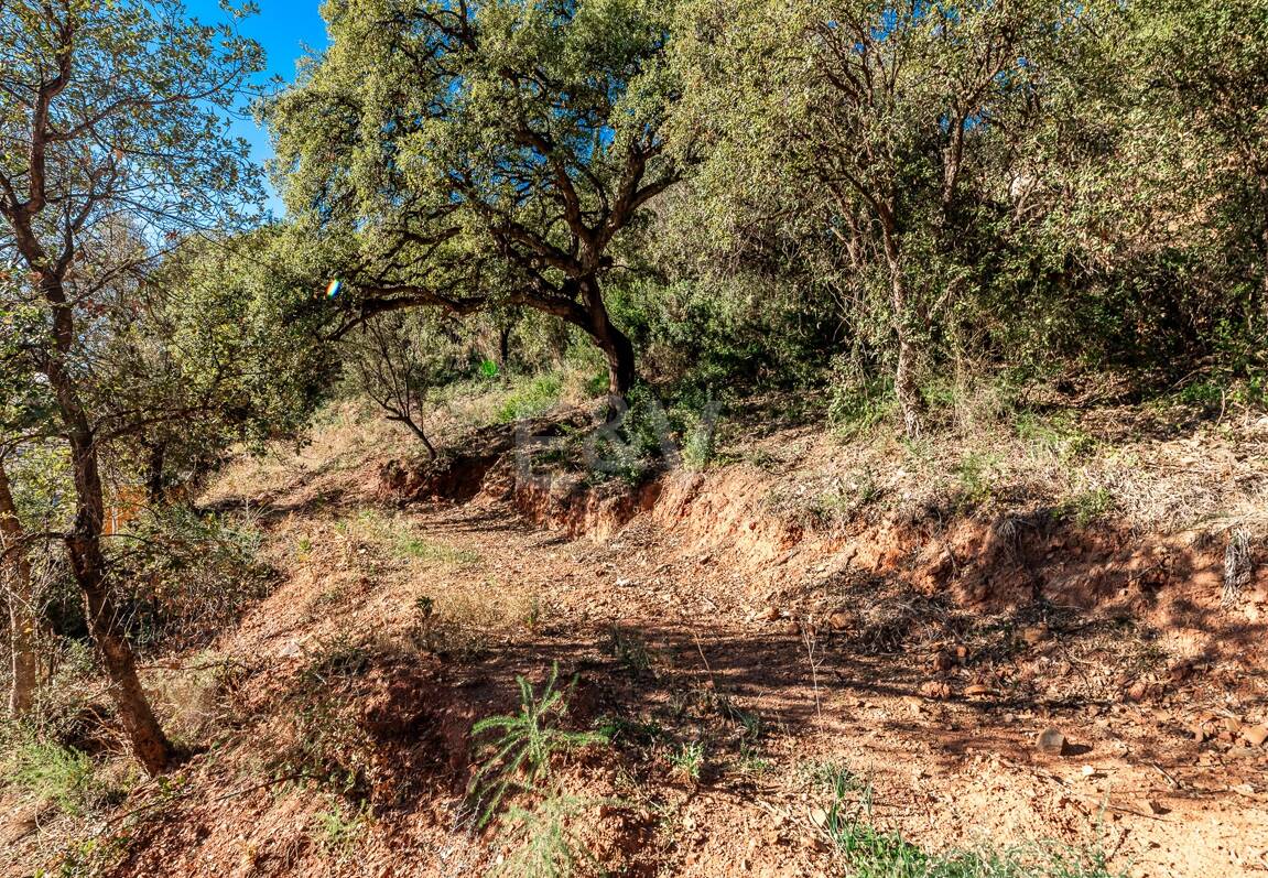 Spacious Plot in Los Monteros Altos with Panoramic Views