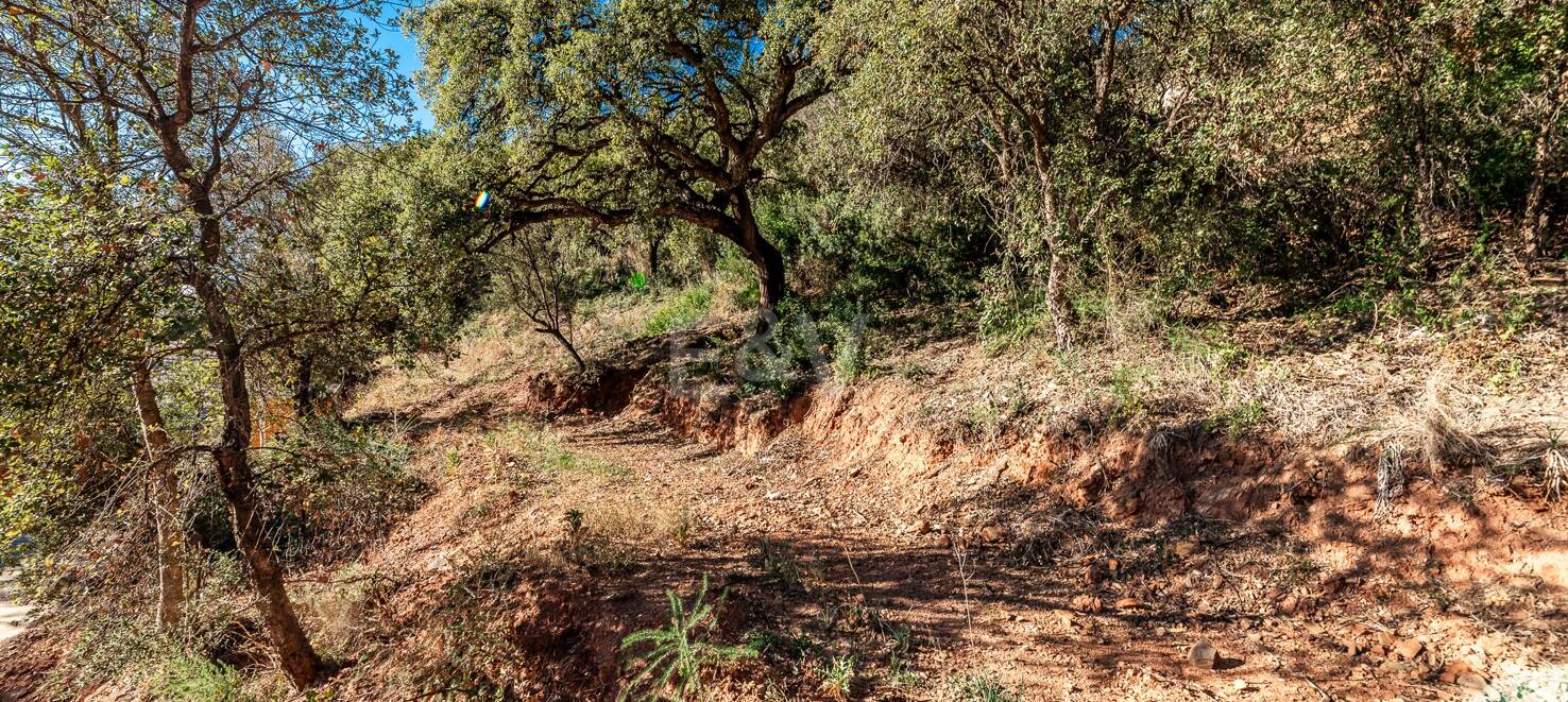 Spacious Plot in Los Monteros Altos with Panoramic Views