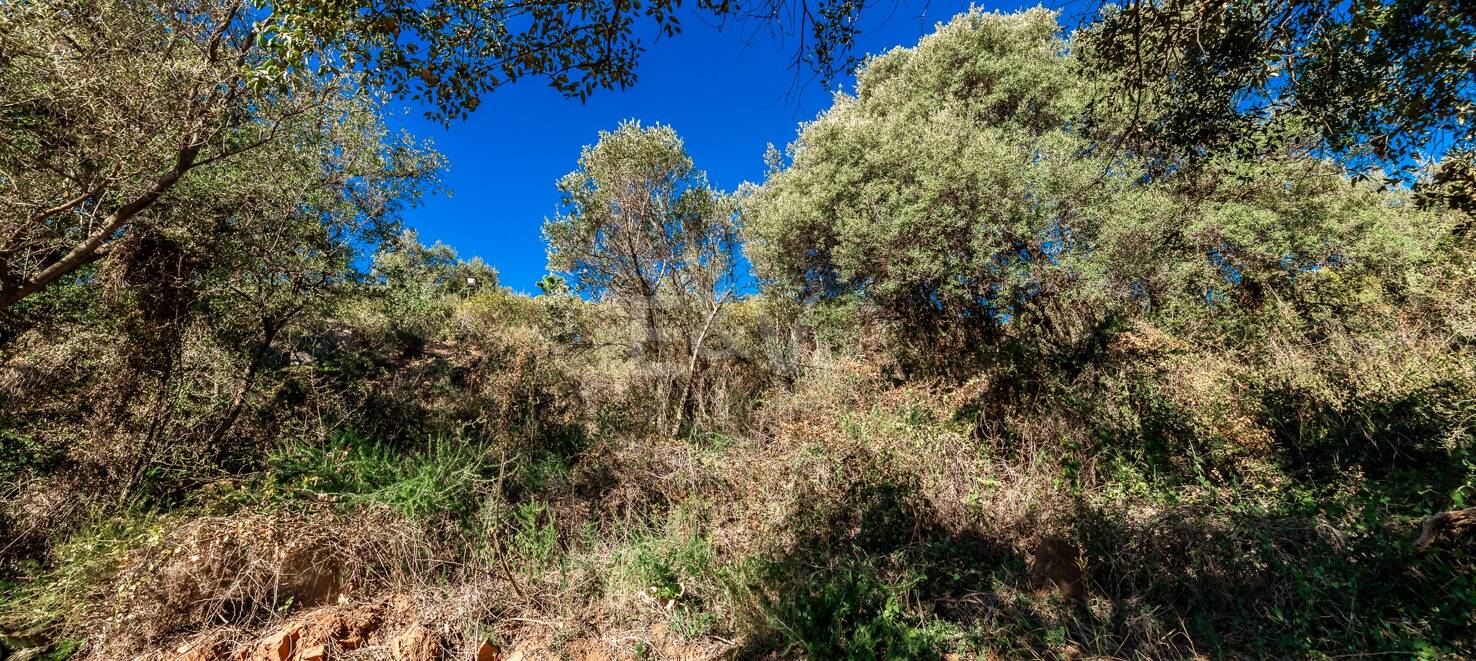 Spacious Plot in Los Monteros Altos with Panoramic Views