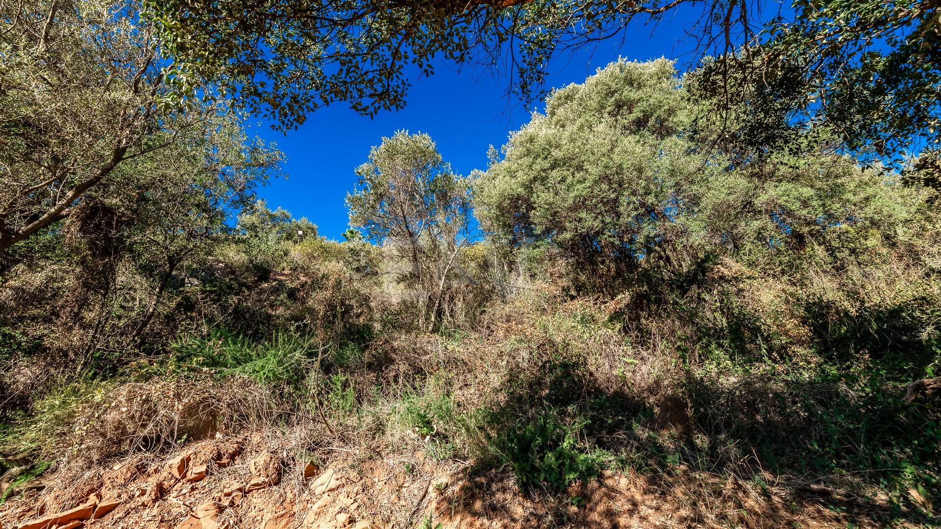 Spacious Plot in Los Monteros Altos with Panoramic Views