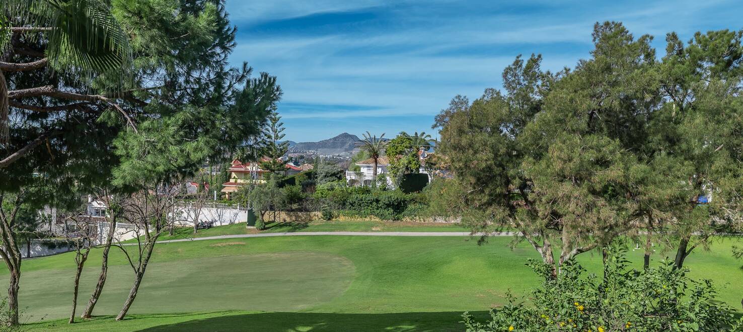 Lovely Guadalmina Frontline Golf Apartment