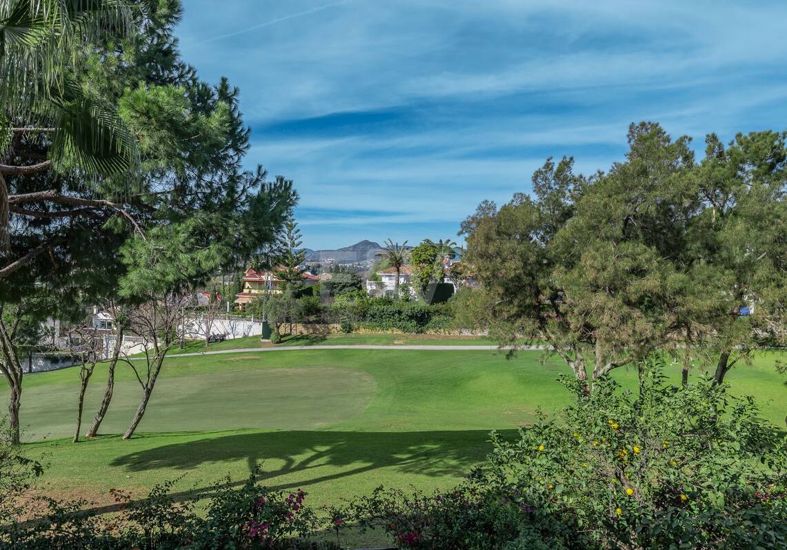 Lovely Guadalmina Frontline Golf Apartment
