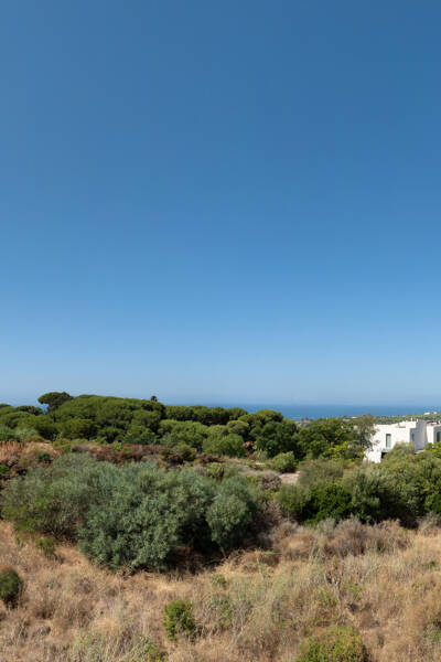 Property Contact Image