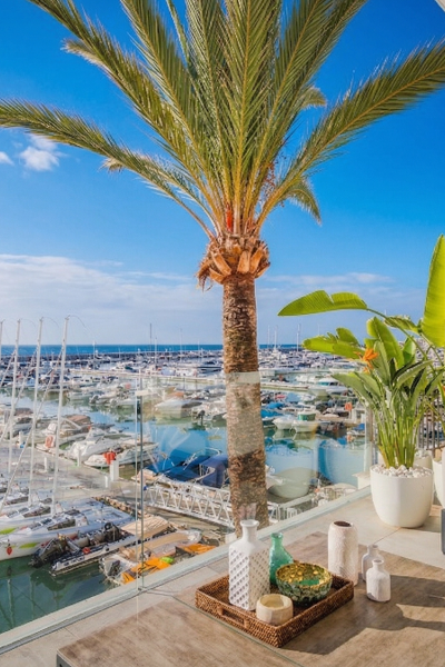 Property Contact Image