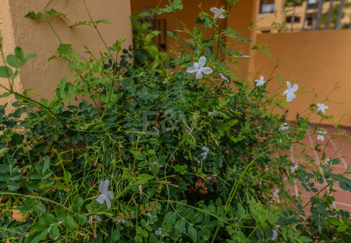 Magnificent Living in San Pedro Beach within Walking Distance to the Beach