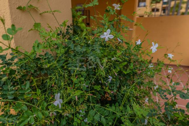 Magnificent Living in San Pedro Beach within Walking Distance to the Beach