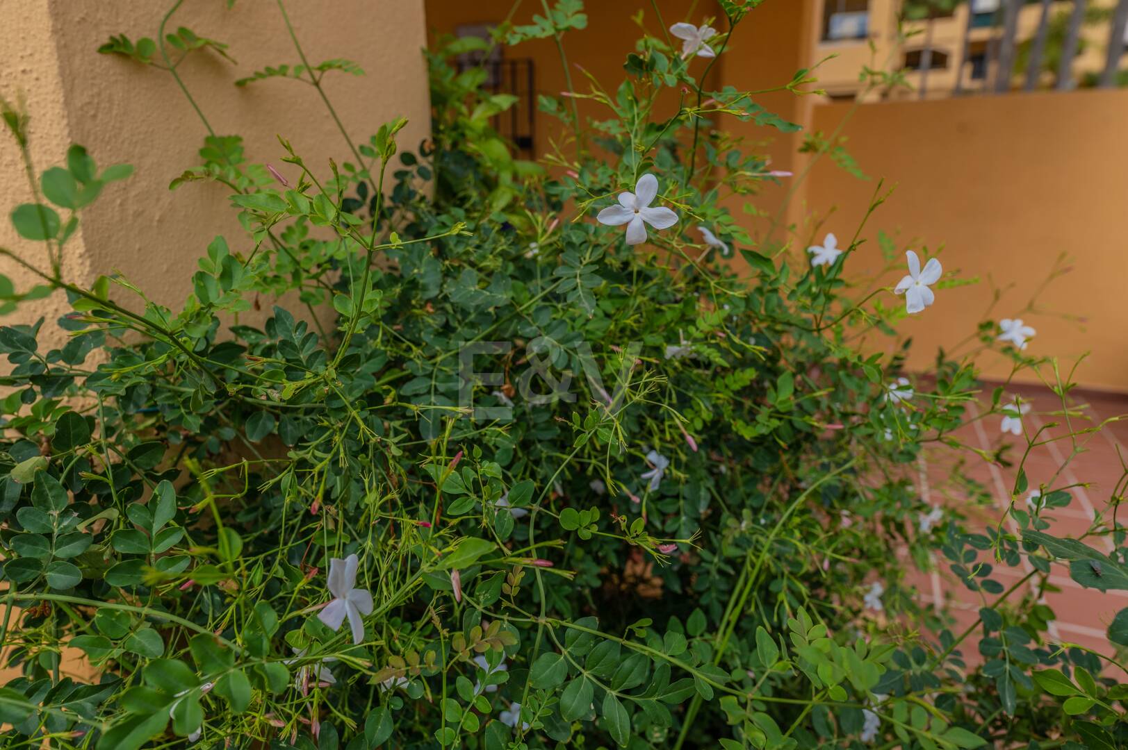 Magnificent Living in San Pedro Beach within Walking Distance to the Beach