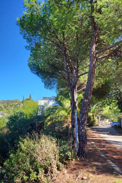 Property Contact Image