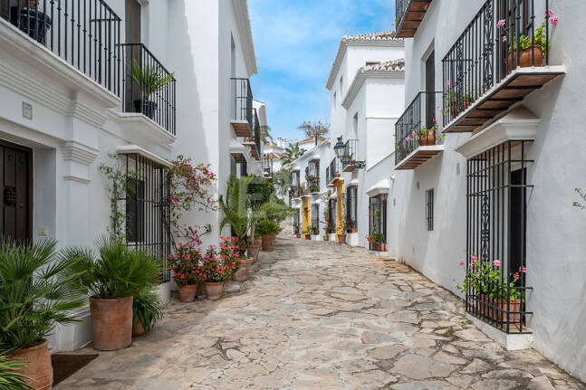 Largest and Most Unique Property in Lomas Pueblo