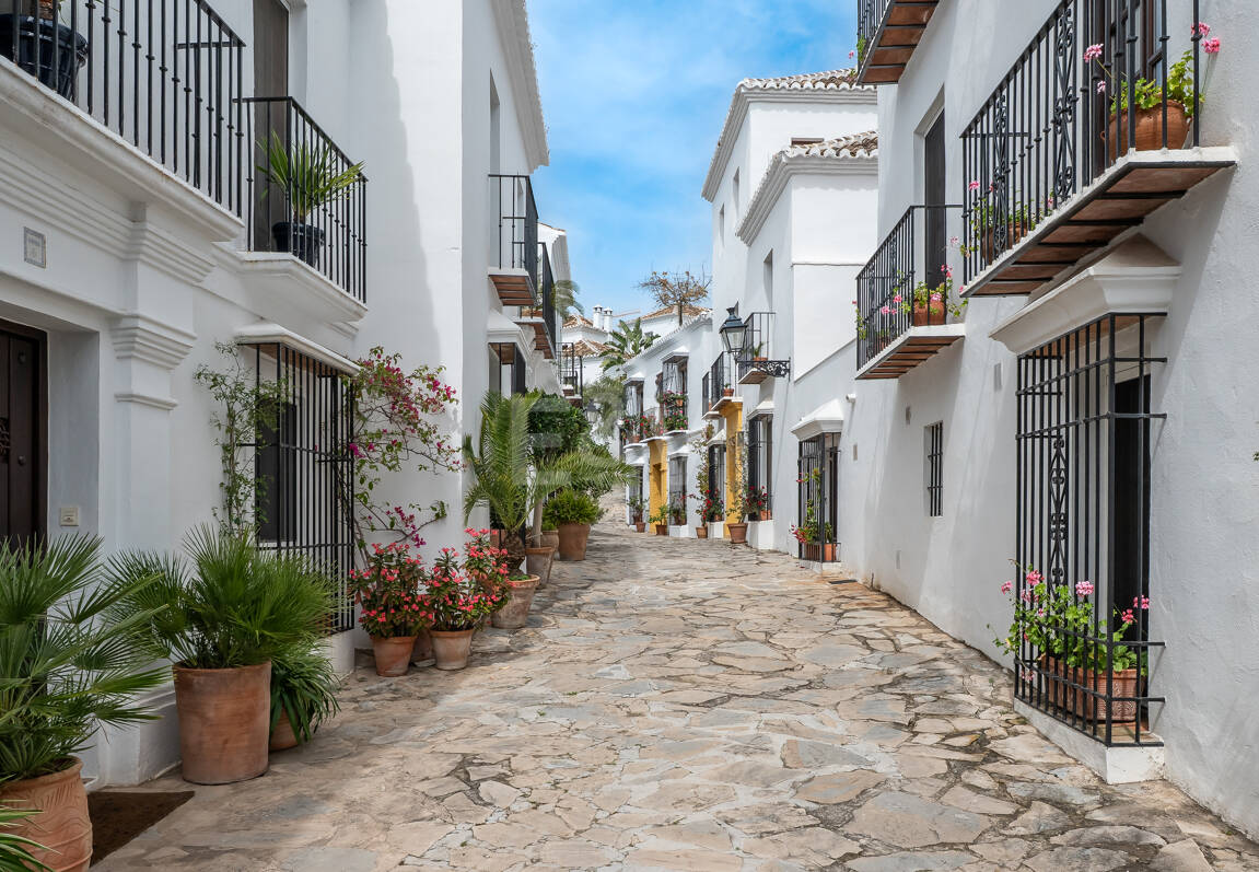 Largest and Most Unique Property in Lomas Pueblo