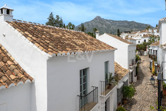 Largest and Most Unique Property in Lomas Pueblo