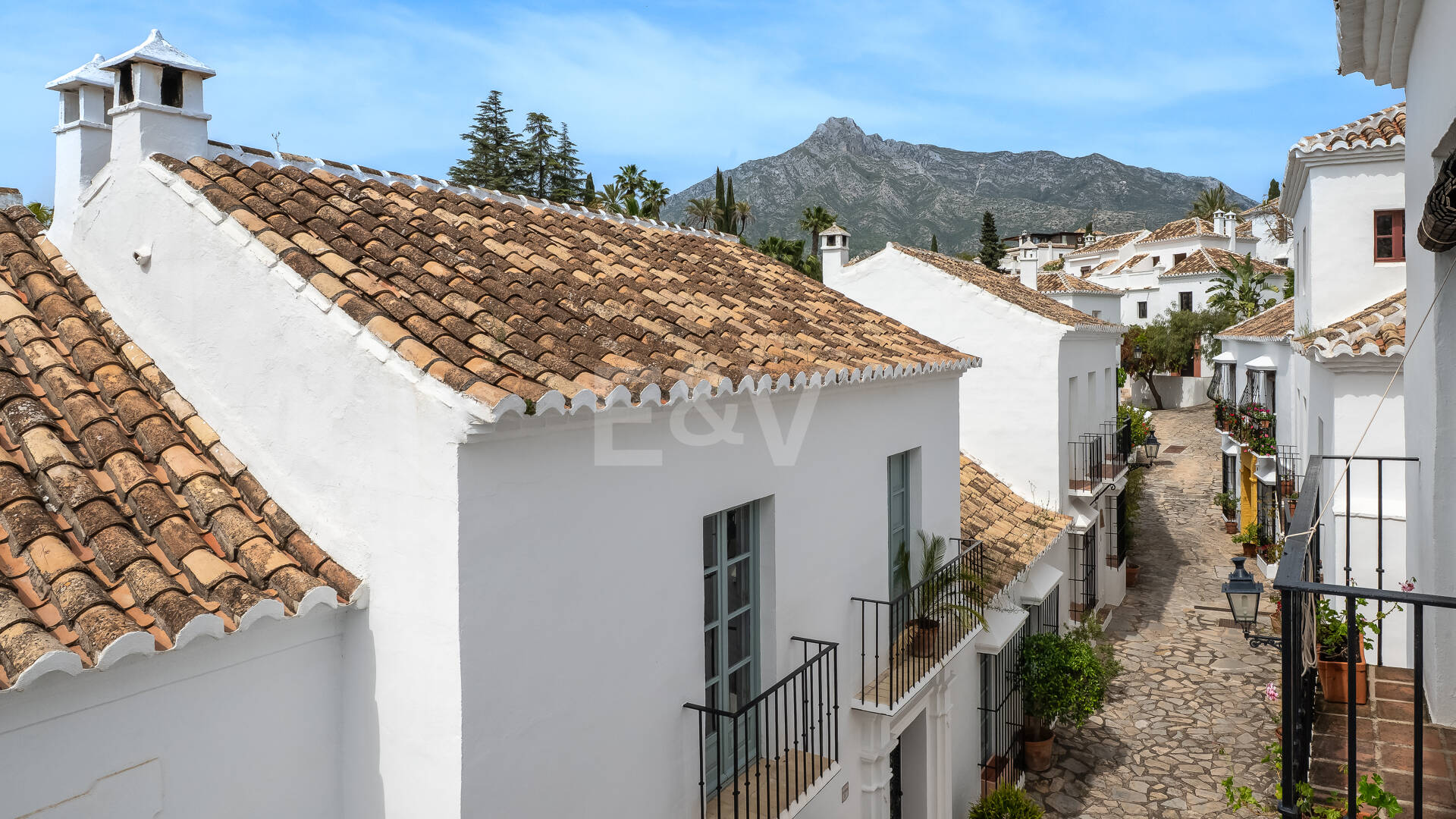 Largest and Most Unique Property in Lomas Pueblo