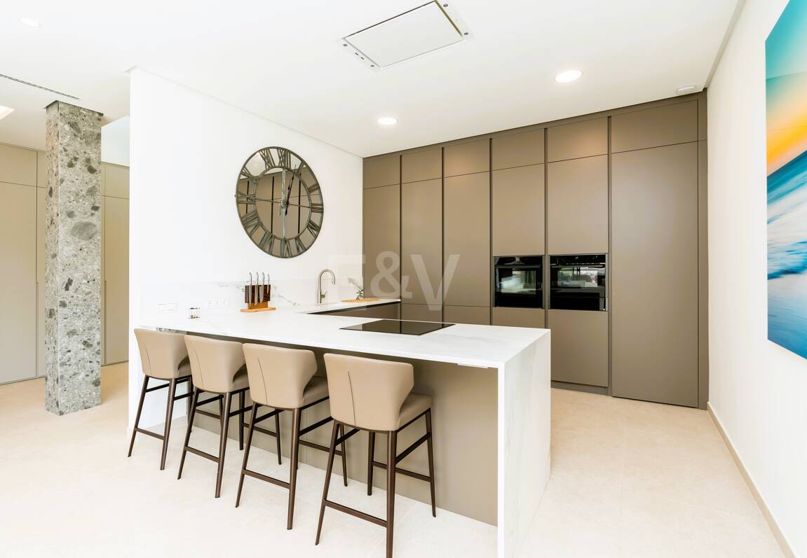 Stunning Modern Villa in Prime Location in San Pedro Beach