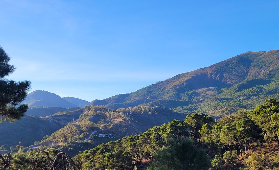 Exclusive Plot in La Zagaleta with Stunning Open Views