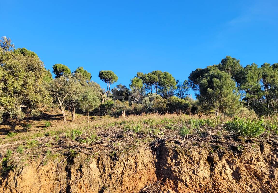 Exclusive Plot w La Zagaleta z oszałamiającymi widokami