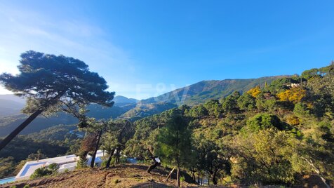 Exclusive Plot in La Zagaleta with Stunning Open Views