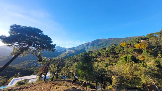 Plot exclusif à La Zagaleta avec vue imprenable