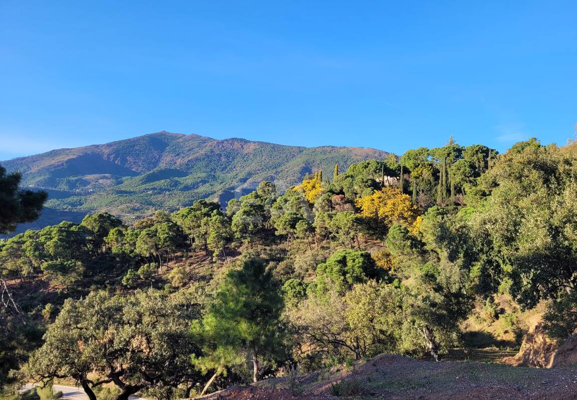 Exclusive Plot w La Zagaleta z oszałamiającymi widokami