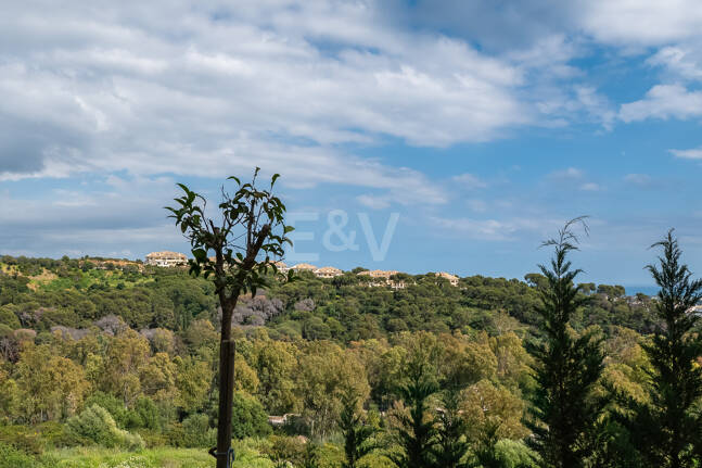 Appartement à louer en Nueva Andalucia, Marbella (Toutes les zones)