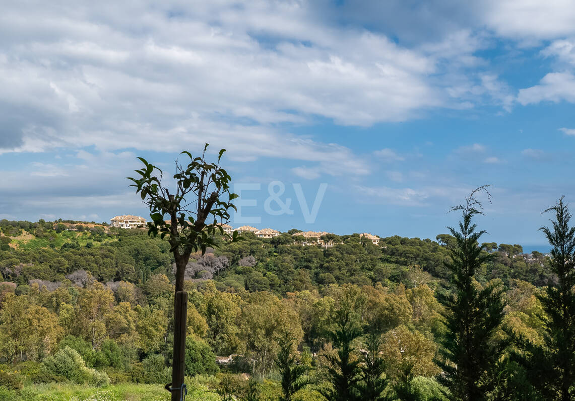 Appartement à louer en Nueva Andalucia, Marbella (Toutes les zones)