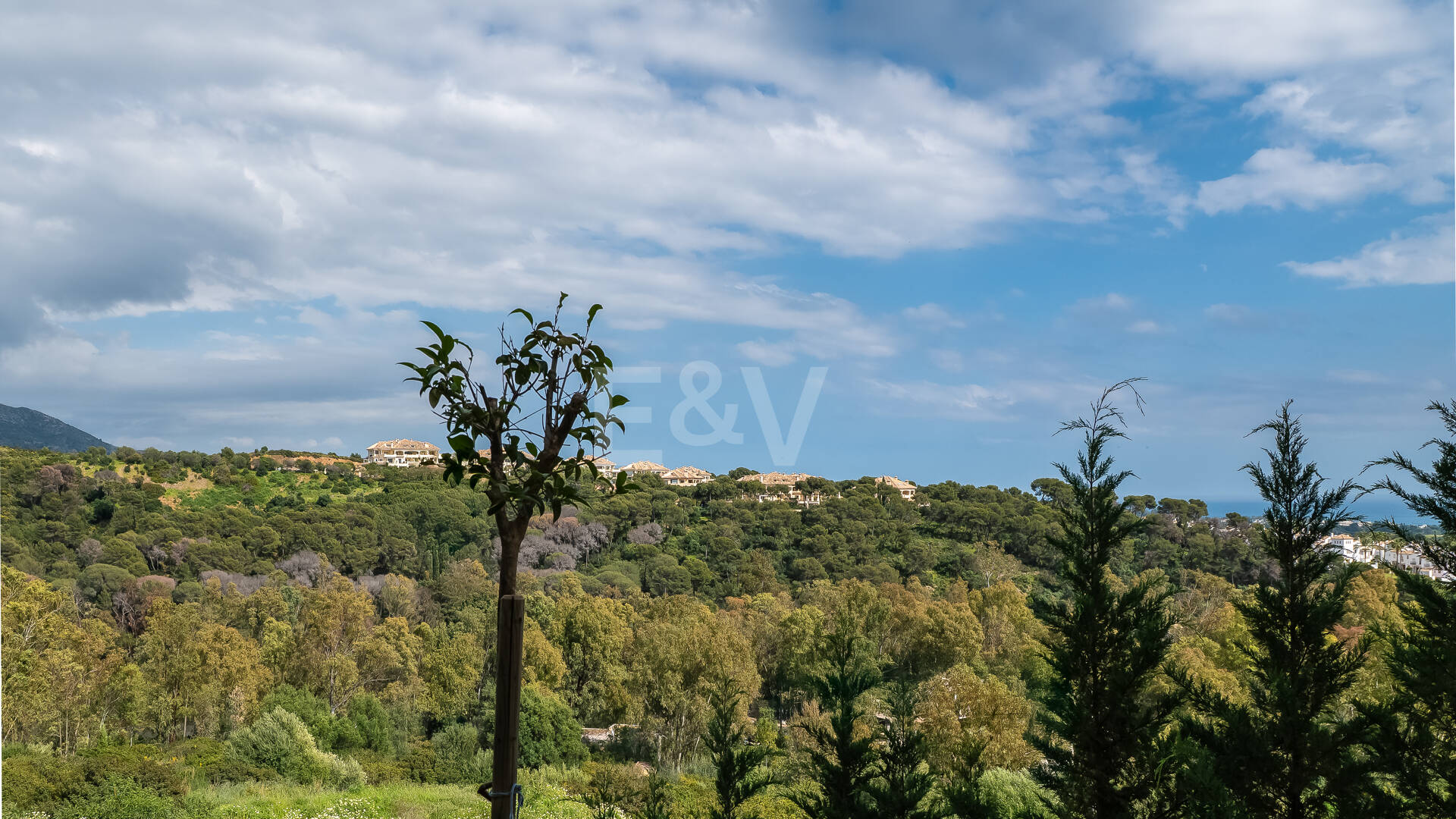 Appartement à louer en Nueva Andalucia, Marbella (Toutes les zones)