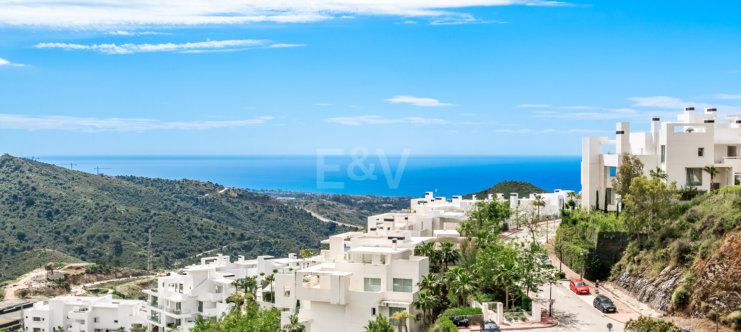 Stylish Apartment with Panoramic Sea & Mountain Views in Palo Alto